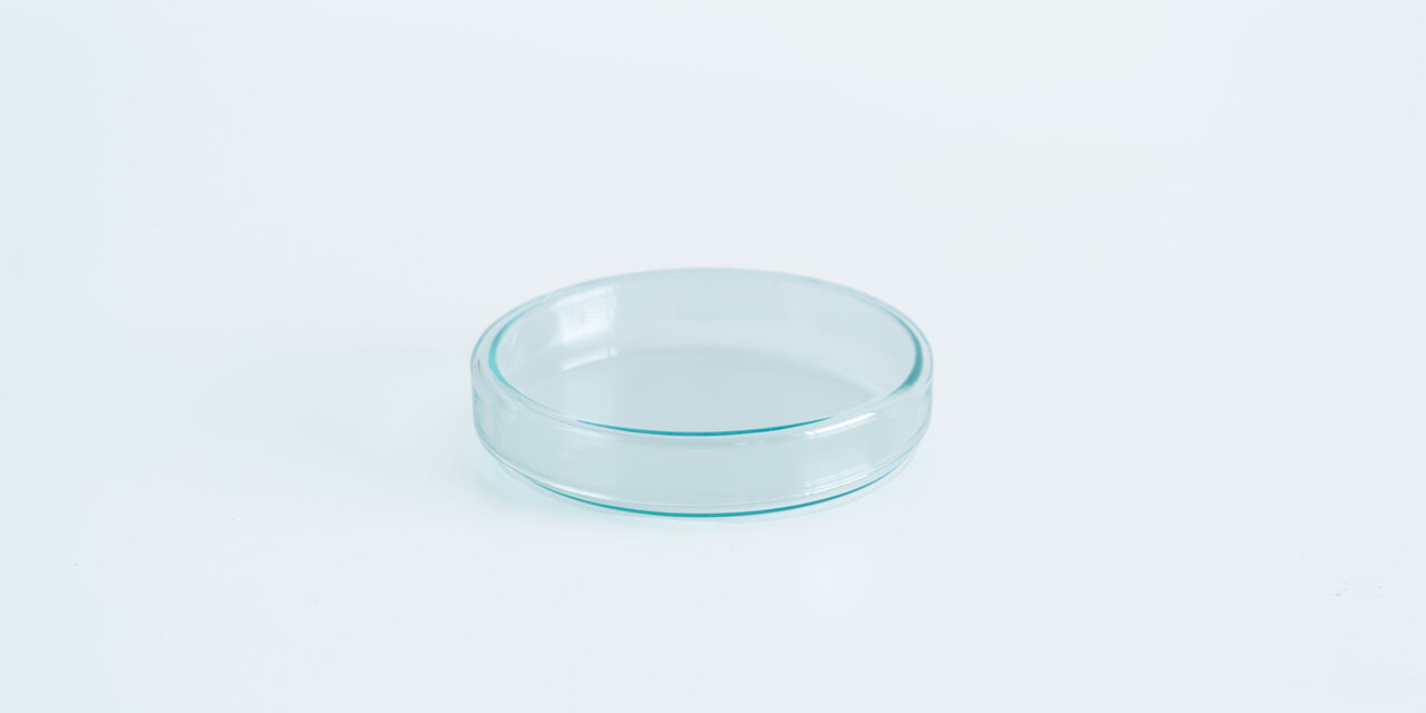 Medical Glass Petri Dish S (Set of 6),, large image number 0